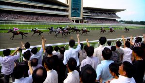 Pronostics pmu Saint-Quentin: conseils et analyses 🐎