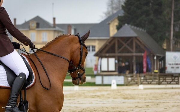 L&rsquo;Archipel à Concarneau : quand la passion redonne vie au bar-tabac-PMU de quartier