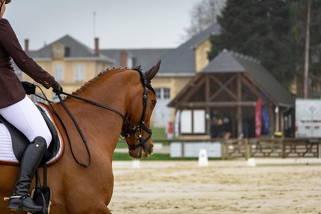L&rsquo;Archipel à Concarneau : quand la passion redonne vie au bar-tabac-PMU de quartier
