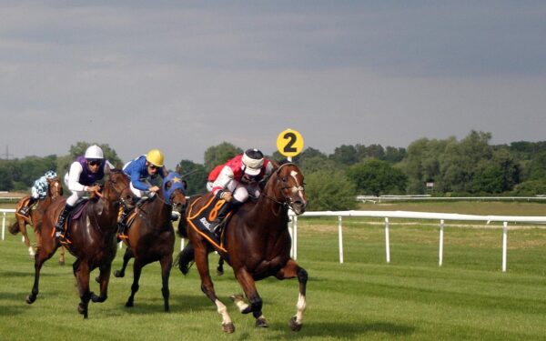 Avec seulement 3 euros, il remporte 112 000 euros au PMU : un jackpot incroyable !