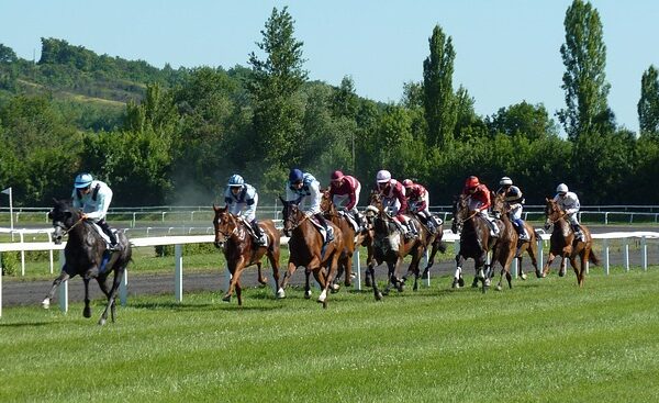 Les bars PMU réinventent la tradition française : DJ, gastronomie et modernité