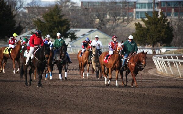 Les bars-tabacs PMU : votre allié pour parier et bien plus encore