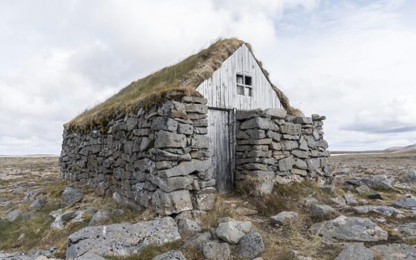 Acquérir un cheval : budgetiser votre passion équestre de A à Z