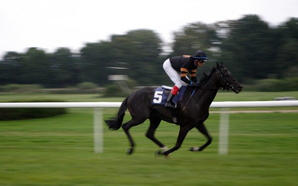 « C’est mon père qui m’a tout transmis » : à Marzan, le bar-tabac PMU « Le Temps Fort » passe le flambeau familial