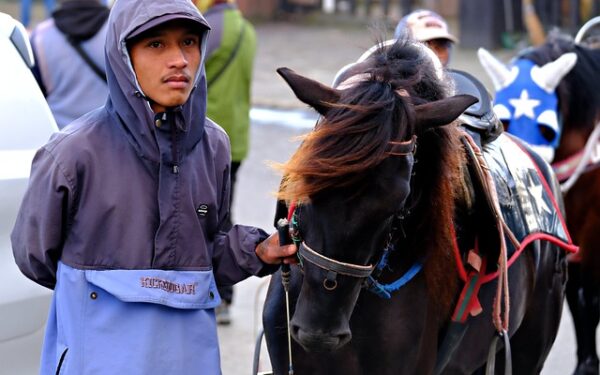 Équitation à Paris : les meilleurs clubs pour débuter et progresser