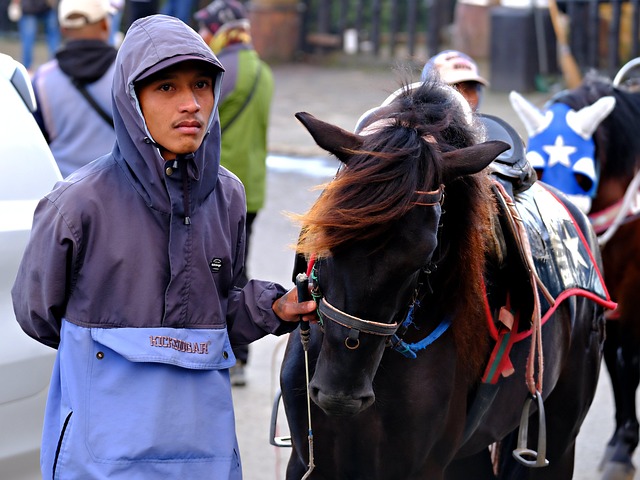 Équitation à Paris : les meilleurs clubs pour débuter et progresser