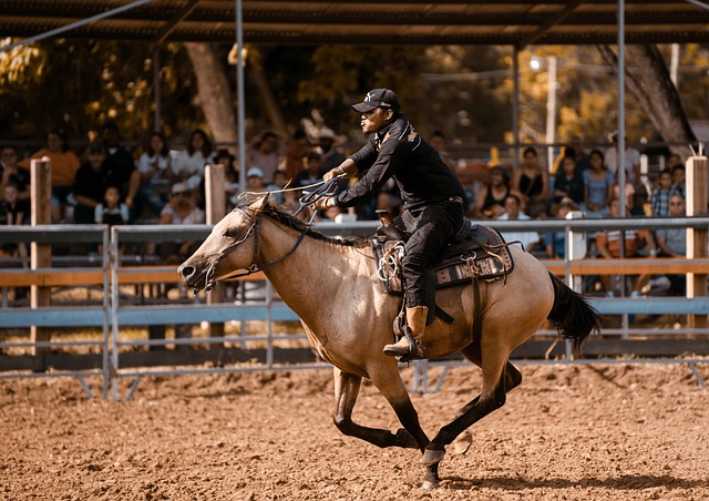 Les chevaux les plus beaux du monde : morphologie, élégance et prestige