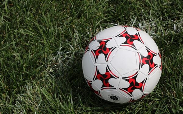 Gazon naturel ou synthétique : le guide complet pour choisir votre filière turf