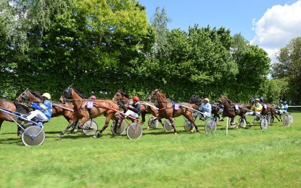 Courses hippiques originales : 5 défis équestres qui révolutionnent l&rsquo;univers du turf