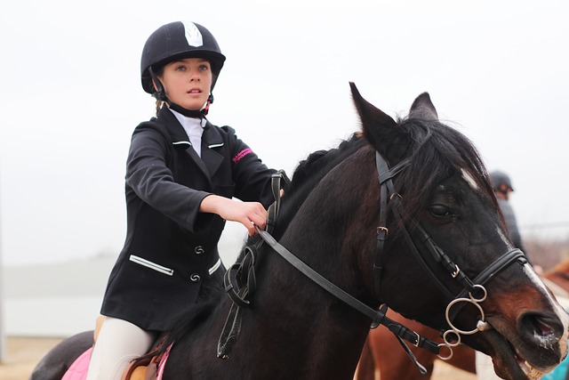 Cyrille Giraudat nommé directeur général du PMU : une nouvelle ère pour l&rsquo;égalité des chances