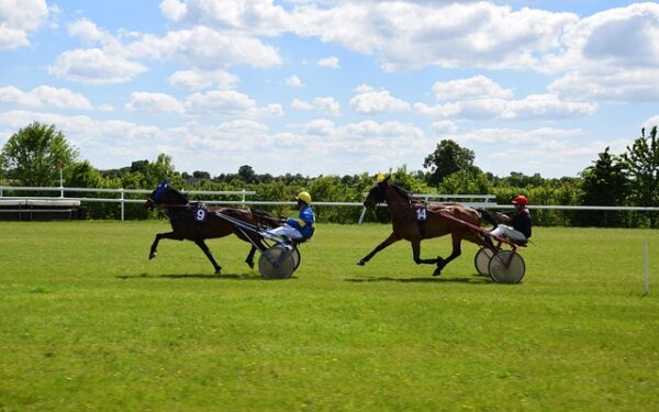 Débuter au trading : les stratégies gagnantes pour vos premiers pas