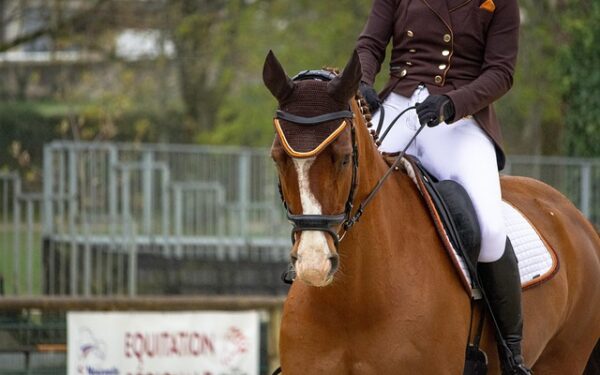 Gmail et Google Workspace : sécurisez vos communications professionnelles sans frais