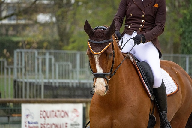 Gmail et Google Workspace : sécurisez vos communications professionnelles sans frais