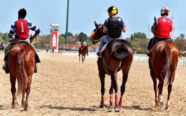 Cabourg : l&rsquo;hippodrome normand où le trot devient spectacle