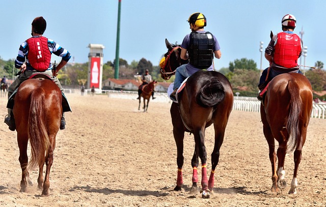Cabourg : l&rsquo;hippodrome normand où le trot devient spectacle