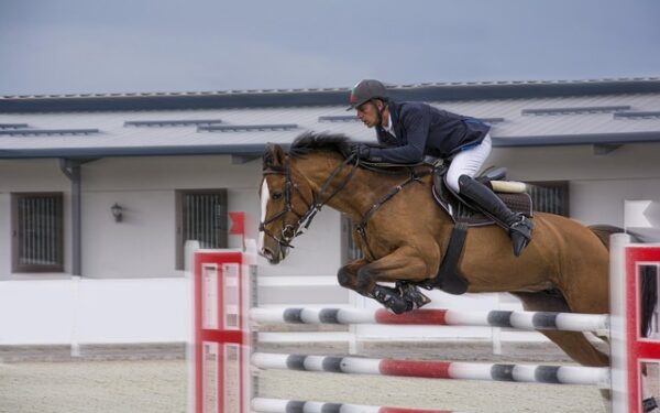 Jumping de La Baule 2025 : le grand rendez-vous de l&rsquo;équitation française en juin