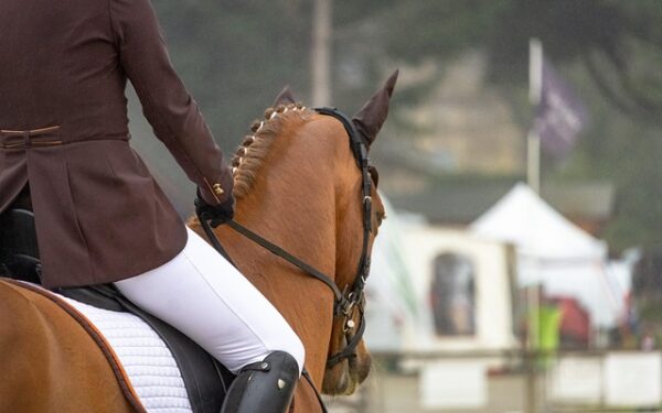 Maîtriser le timing en CSO : la clé secrète des cavaliers de haut niveau