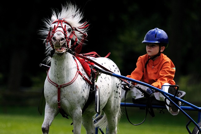 Le Métavers : Nouveau Repaire des Passionnés d&rsquo;Hippisme et de Convivialité