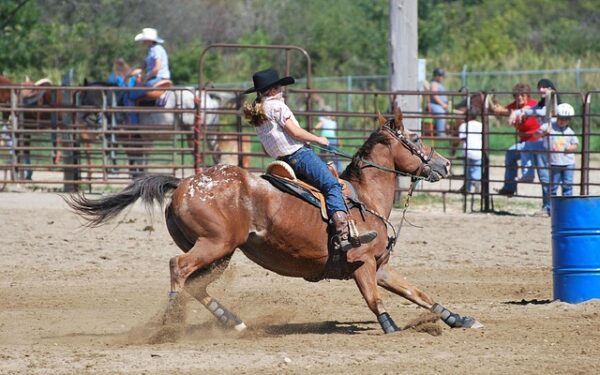 227 716€ remportés à Fort-de-France : le coup de génie d&rsquo;un parieur martiniquais au PMU