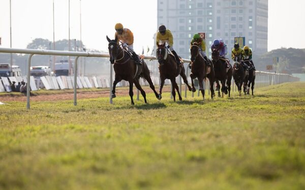 PMU Chez Maly au Port : quand la justice suspend les paris face aux soupçons de narcotrafic