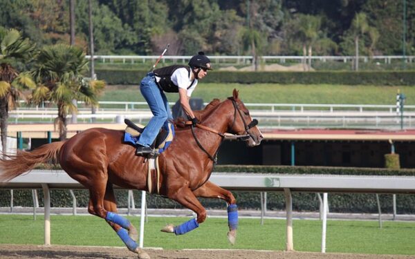 PMU à Paris : la révolution numérique face au déclin des points de vente traditionnels