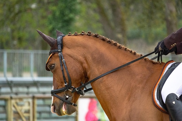 PMU+ en Point de Vente : L&rsquo;Alliance Gagnante Entre Tradition et Technologie