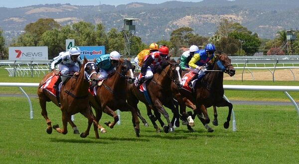 PMU : Décryptage d&rsquo;un sigle qui a révolutionné les paris hippiques en France