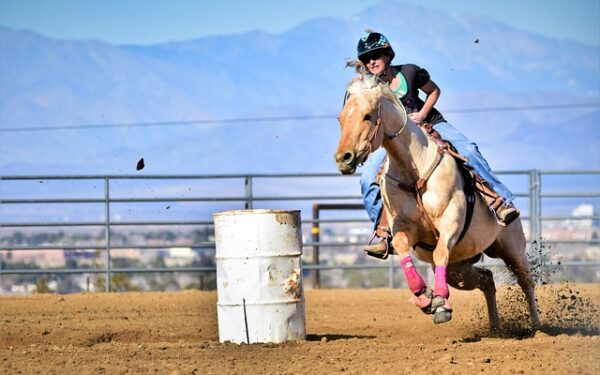 Monclar-de-Quercy : Le PMU s&rsquo;installe au tabac Le Monclar, nouvelle destination pour les parieurs