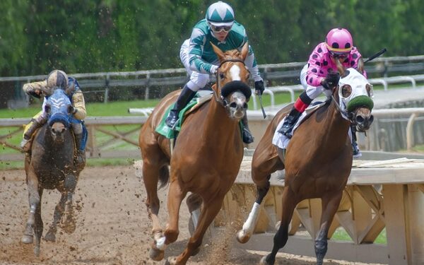 Points de vente PMU : votre guide complet pour parier en toute confiance