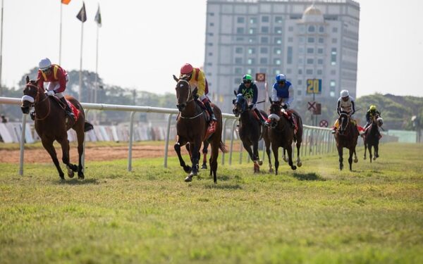 Prix de Cornulier : Comment le Jackpot Révolutionne les Stratégies de Pari