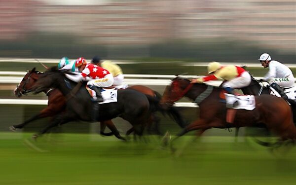 Prix de Craon : Je Te Cherche face à l&rsquo;élite européenne du trot attelé