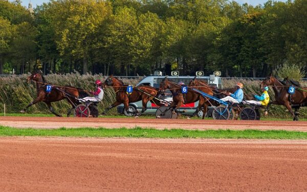 QR Code PMU : La révolution numérique pour consulter vos résultats en un clic