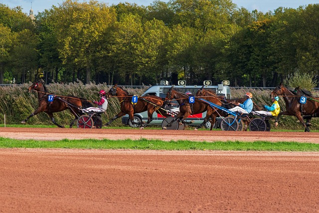 QR Code PMU : La révolution numérique pour consulter vos résultats en un clic