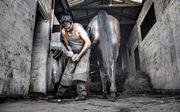 Quinté Plus Cagnes-sur-Mer : Style d&rsquo;Emirs dominant, analyse complète du 9 décembre