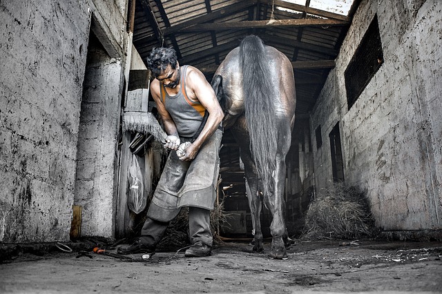 Quinté Plus Cagnes-sur-Mer : Style d&rsquo;Emirs dominant, analyse complète du 9 décembre