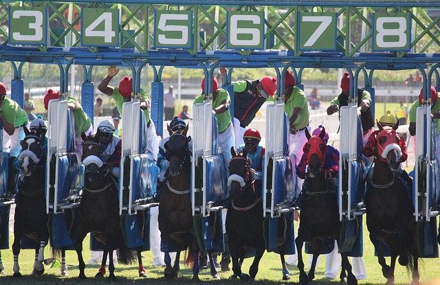 Quinté+ : Un chanceux empoche 900 000€, le plus gros gain PMU de 2025