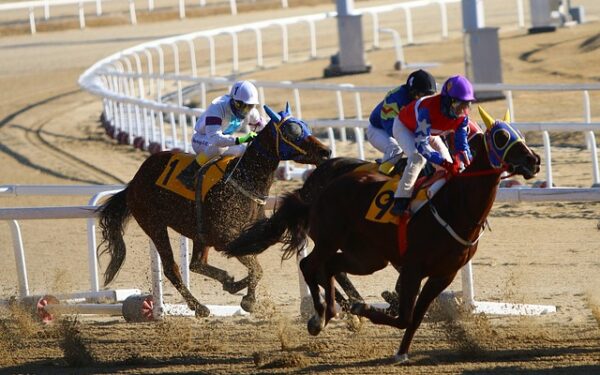 Quinté+ PMU du 22 janvier : Nofix s&rsquo;impose comme l&rsquo;outsider de référence