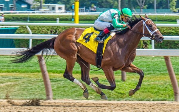 Talent Hunt dans le Turf : Les Stratégies Gagnantes pour Recruter les Meilleurs Profils PMU