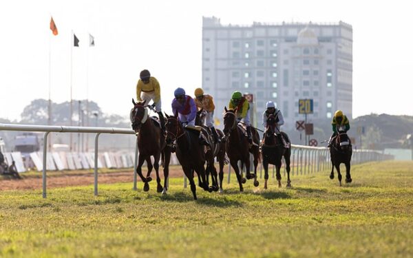 Points de vente PMU : comment transformer la rémunération en levier de performance