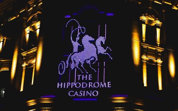 Reproduction équine : maîtriser la saillie du cheval pour des naissances réussies