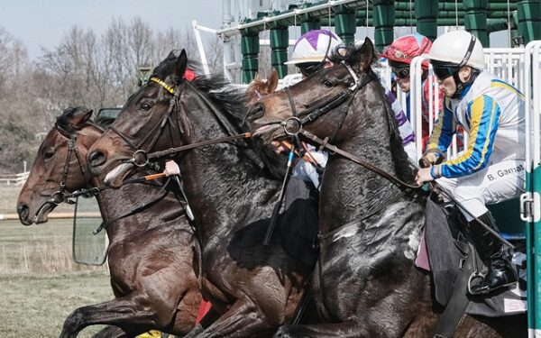 Sécuriser vos paris hippiques : le guide complet de la validation PMU