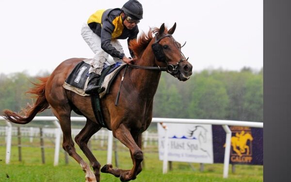 Sécurité dans les PMU : quand la criminalité trouble les fêtes de fin d&rsquo;année