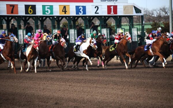 Singapore Pools devient sponsor officiel du Prix de Ris-Orangis : un tournant pour les courses françaises