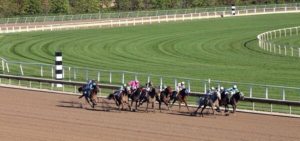 Tarification PMU : Démystifier le Calcul des Cotes et Maximiser Vos Gains