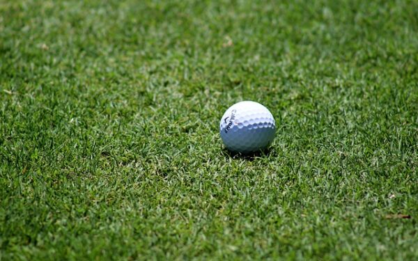 Tarifs PMU : Maîtrisez vos mises et optimisez vos gains aux courses