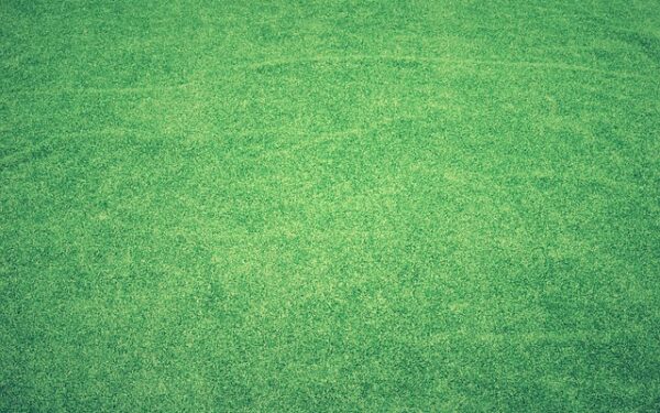 Le Ticket PMU Décrypté : Stratégies et Conseils pour Optimiser Vos Paris