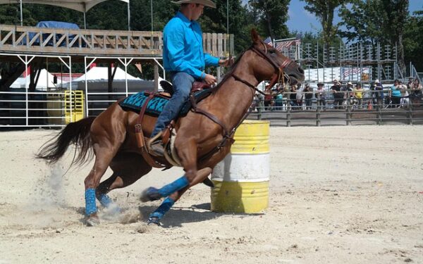 Timoti Auscher révolutionne l&rsquo;expérience PMU : quand le bistrot français rencontre l&rsquo;innovation urbaine