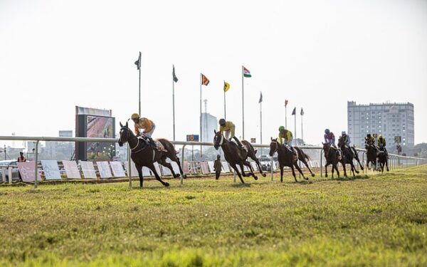Vincennes jeudi 5 février : décryptage expert du Quinté+ et stratégies gagnantes