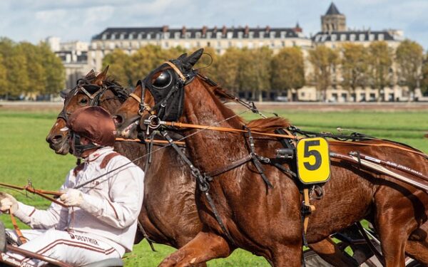 Vitesse du cheval de course : les chiffres qui impressionnent les turfistes