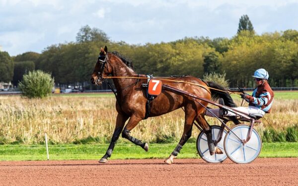 Vosges : Deux jackpots PMU spectaculaires illuminent la région avec 396 000 € de gains